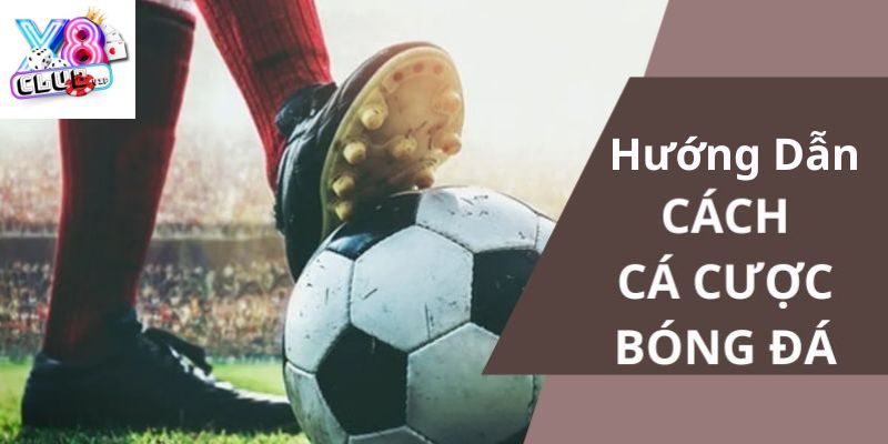 Tìm hiểu về cách chơi cá độ bóng đá và các loại kèo