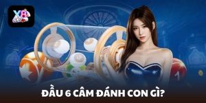đầu 6 câm đánh con gì